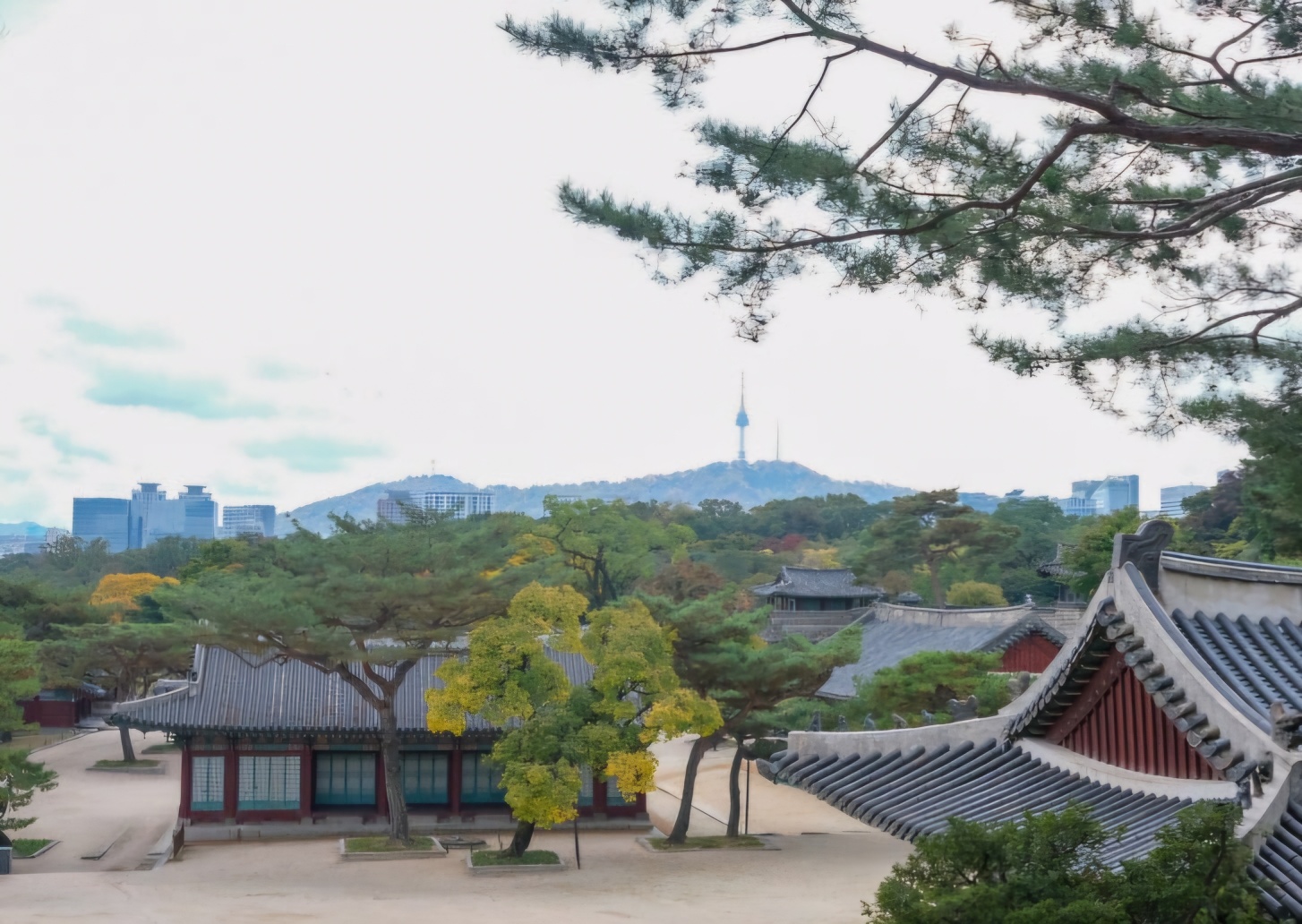 창경궁 무료관람 /창경궁 가는 방법 /창경궁 명소