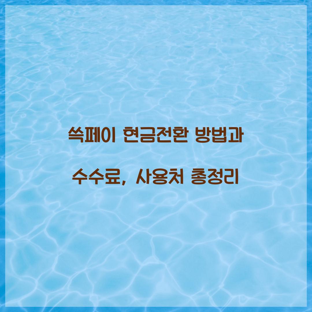 쓱페이 현금전환