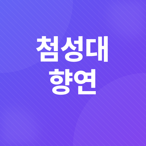 경주 벚꽃 축제_4