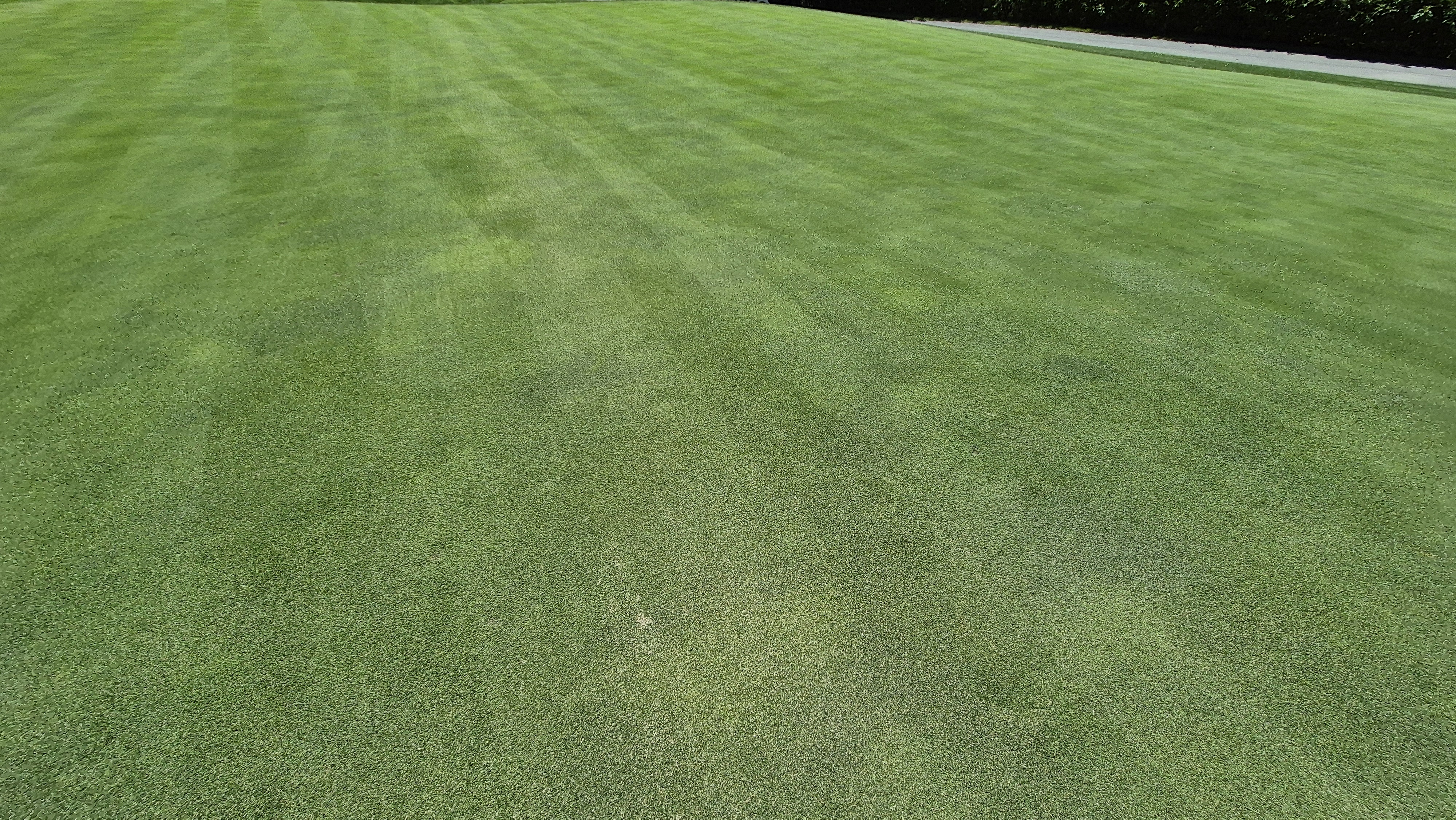 SG 아름다운cc 라운드 후기