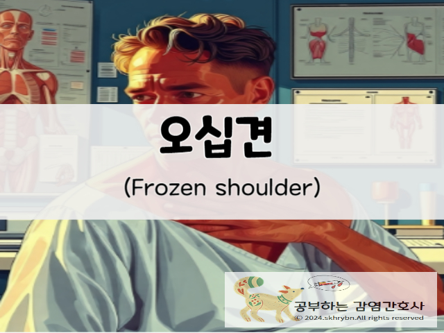 오십견(frozen shoulder)의 원인 및 증상 치료