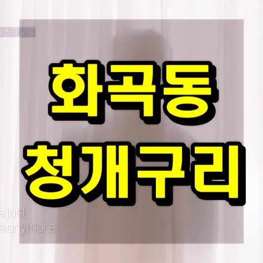 베일드 뮤지션 화곡동 청개구리