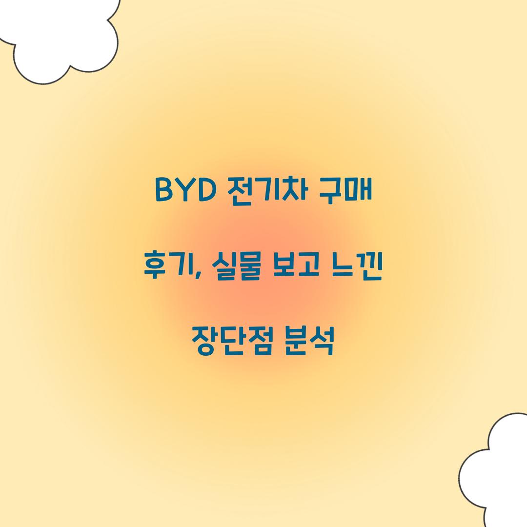 BYD 전기차 구매 후기