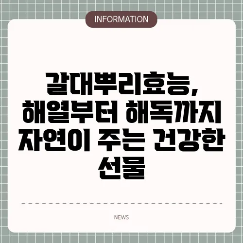 갈대뿌리효능, 해열부터 해독까지 자연이 주는 건강한 선물