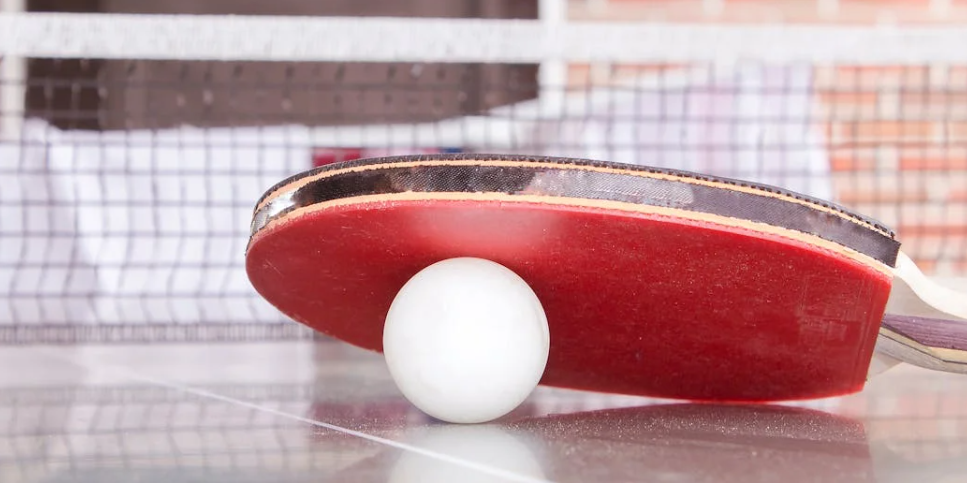 탁구 관련 사진