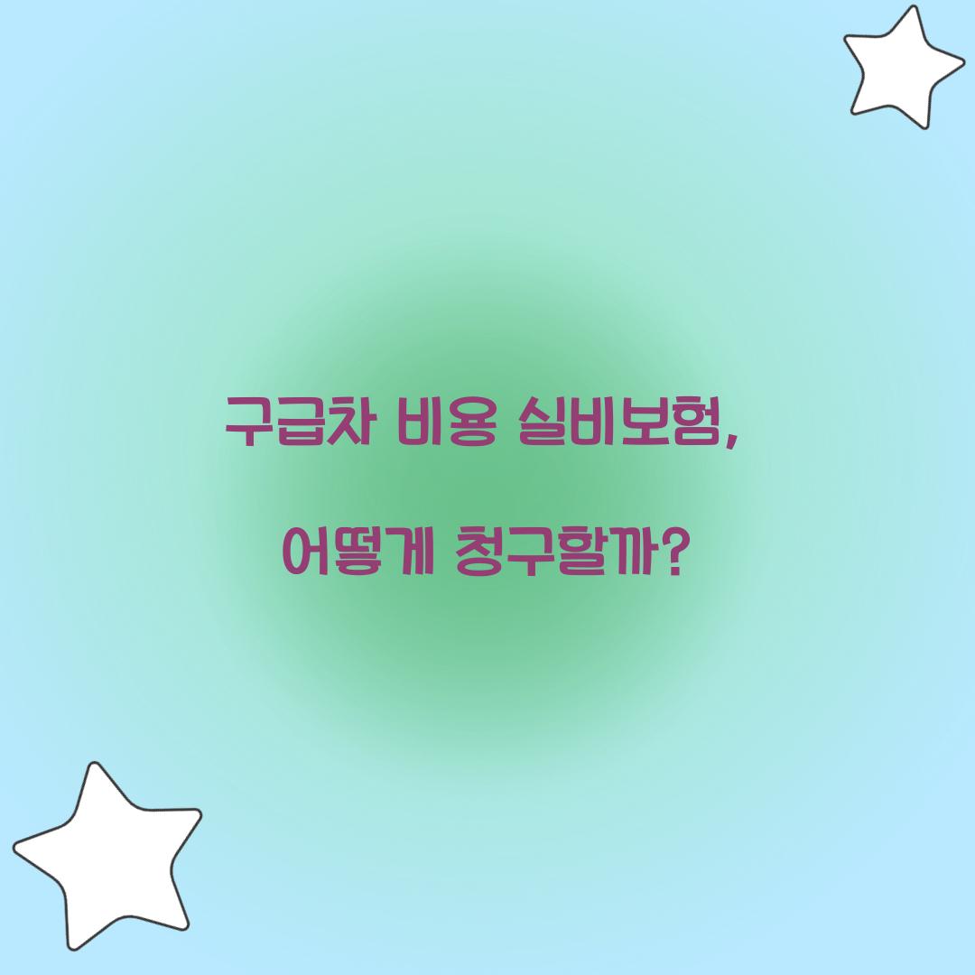 구급차 비용 실비보험