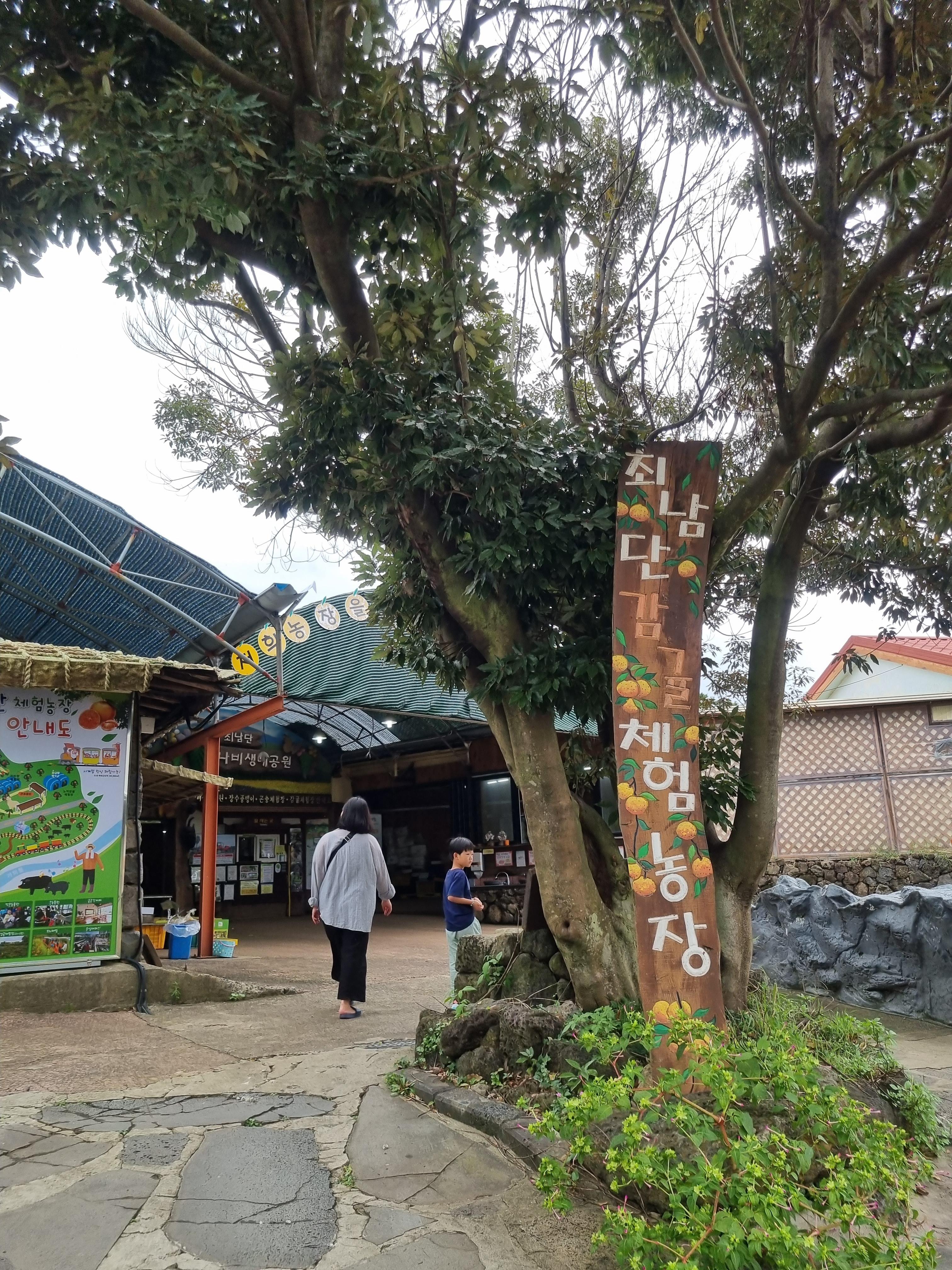 최남단 체험 감귤농장