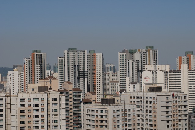 2024 정동야행 기본정보 사전예약 홈페이지 바로가기