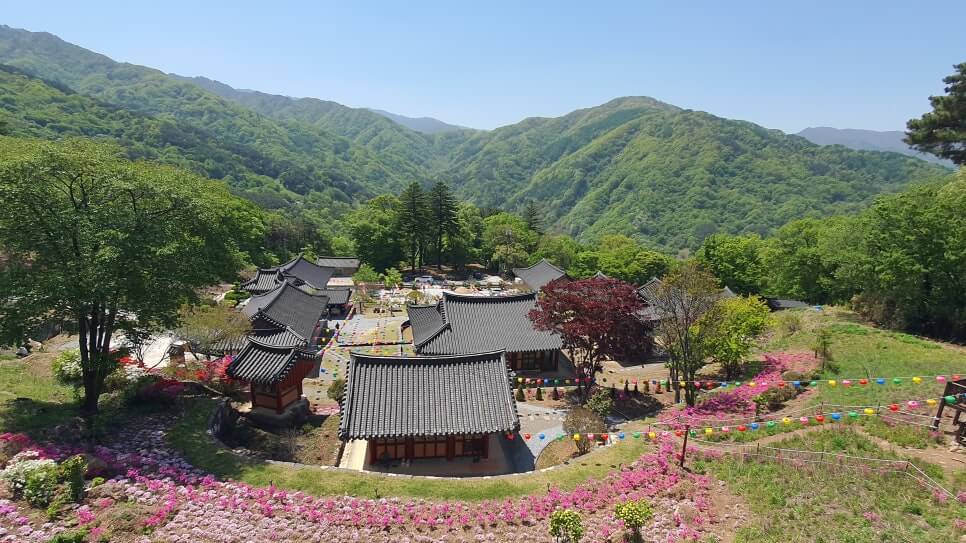 함양 벽송사 : 지리산의 푸른 숨결을 간직한 천년 고찰 조계종 선풍의 본산