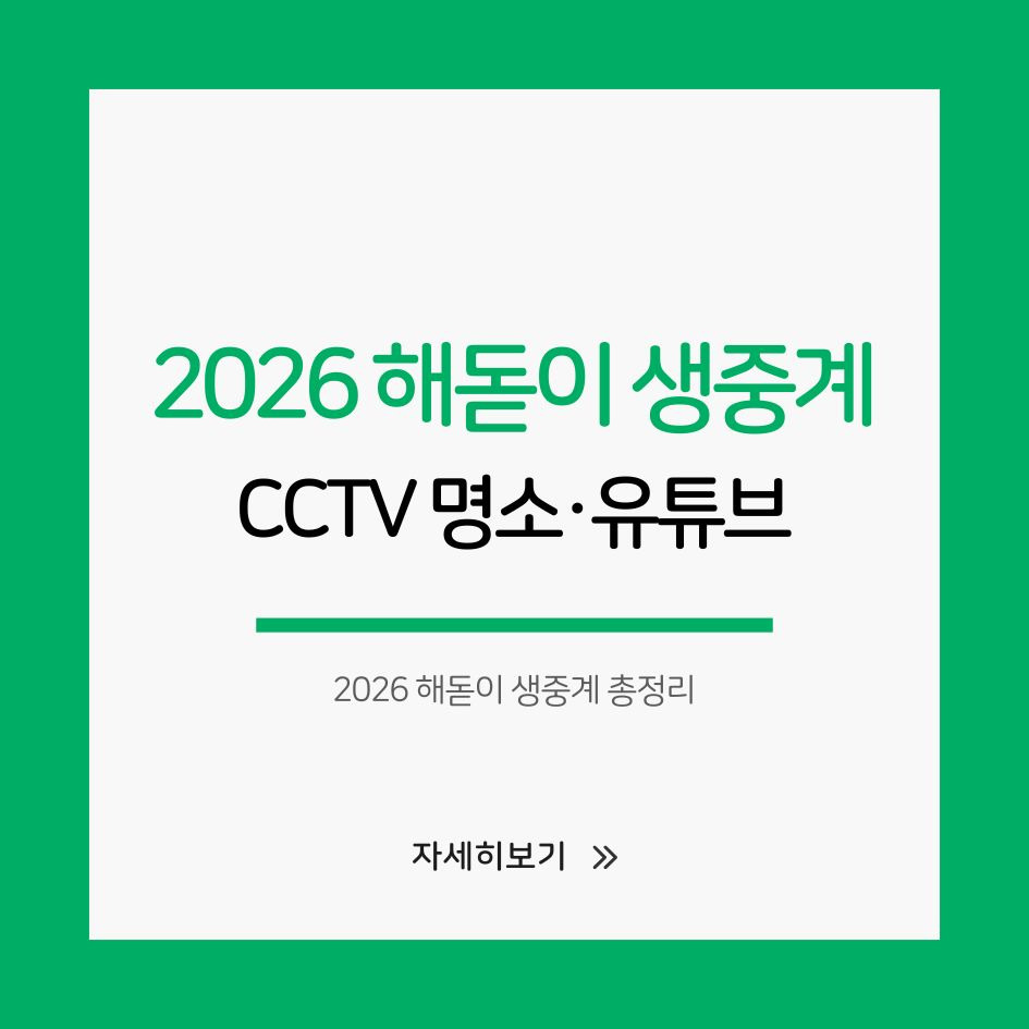 2026 해돋이 생중계 CCTV 유튜브 정리