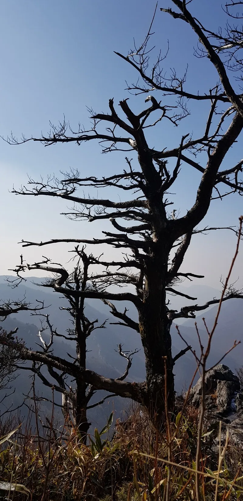 울산 가지산 설경