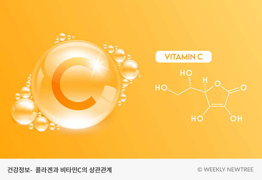 비타민 C와 콜라겐
