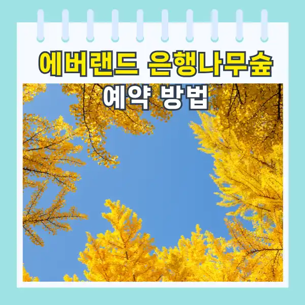 에버랜드 은행나무숲 예약 방법