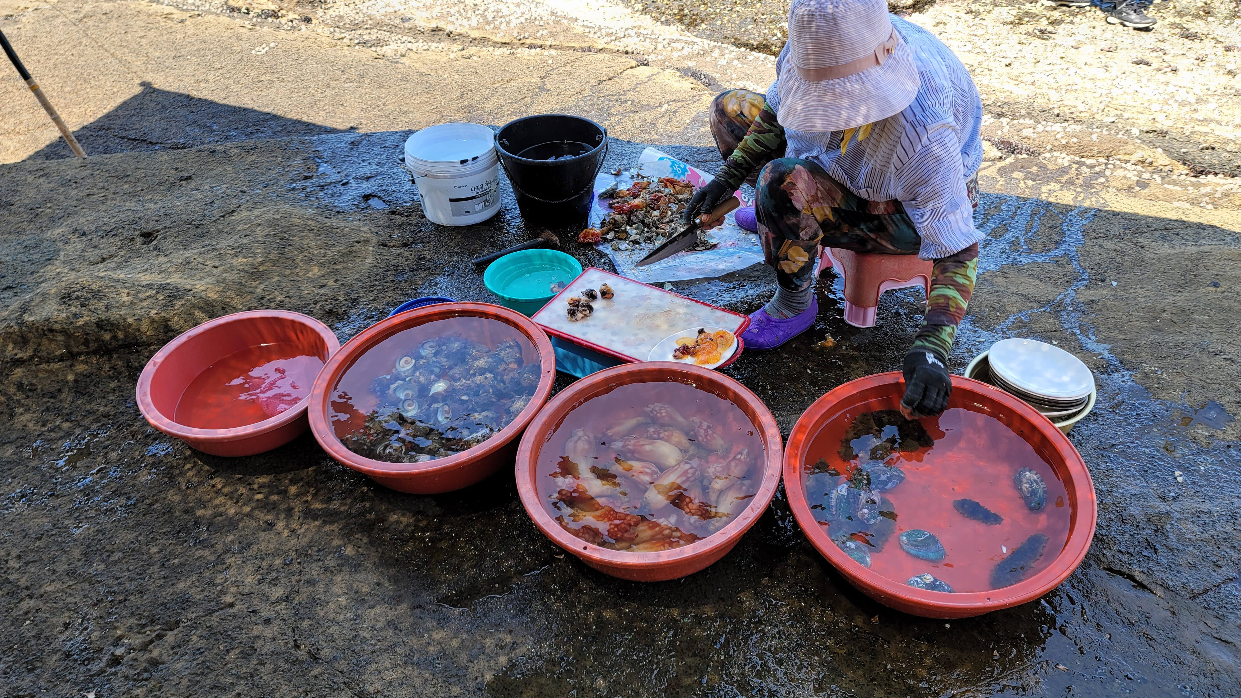 용머리해안