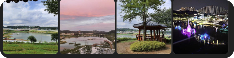 봄 나들이 하기 좋은 경기 시흥 은계호수공원 철축꽃길 산책해보기