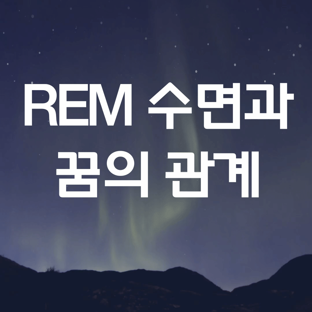 REM 수면과 꿈의 관계