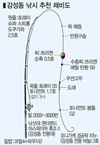 낚시 입질이 끊길 때 대응법 미끼 교체 채비 조정 이동 팁_5