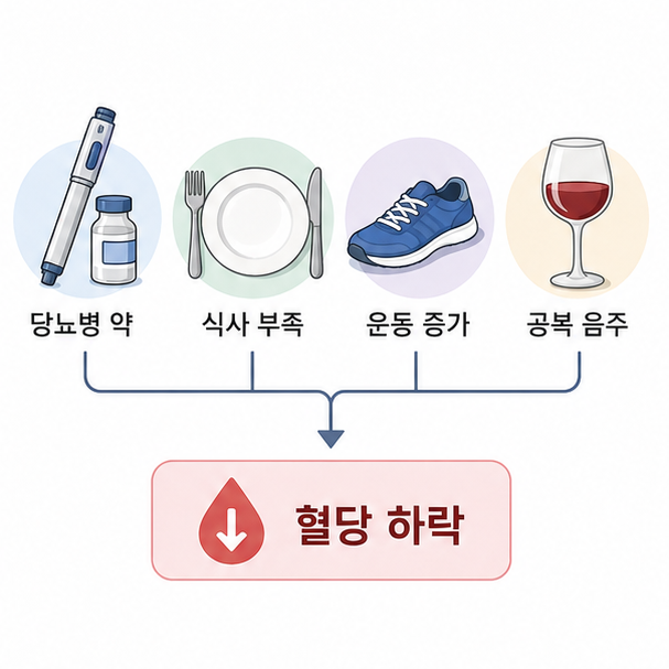 당뇨병 약 사용과 식사 부족, 평소보다 많은 운동, 공복 음주가 저혈당을 일으킬 수 있음을 정리한 이미지