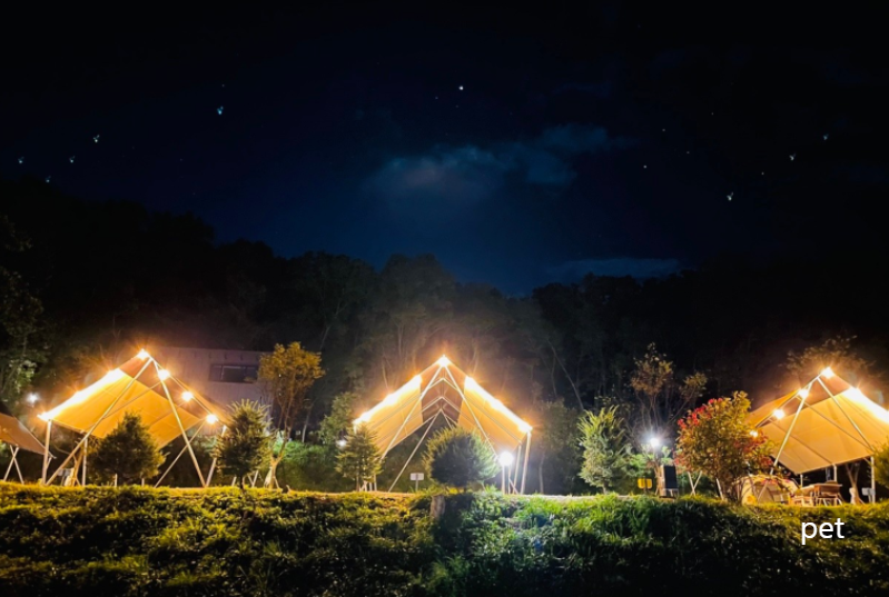 경기-인천-스톤캠핑장-예약-방법-애견-동반-가격-주소-시간-후기