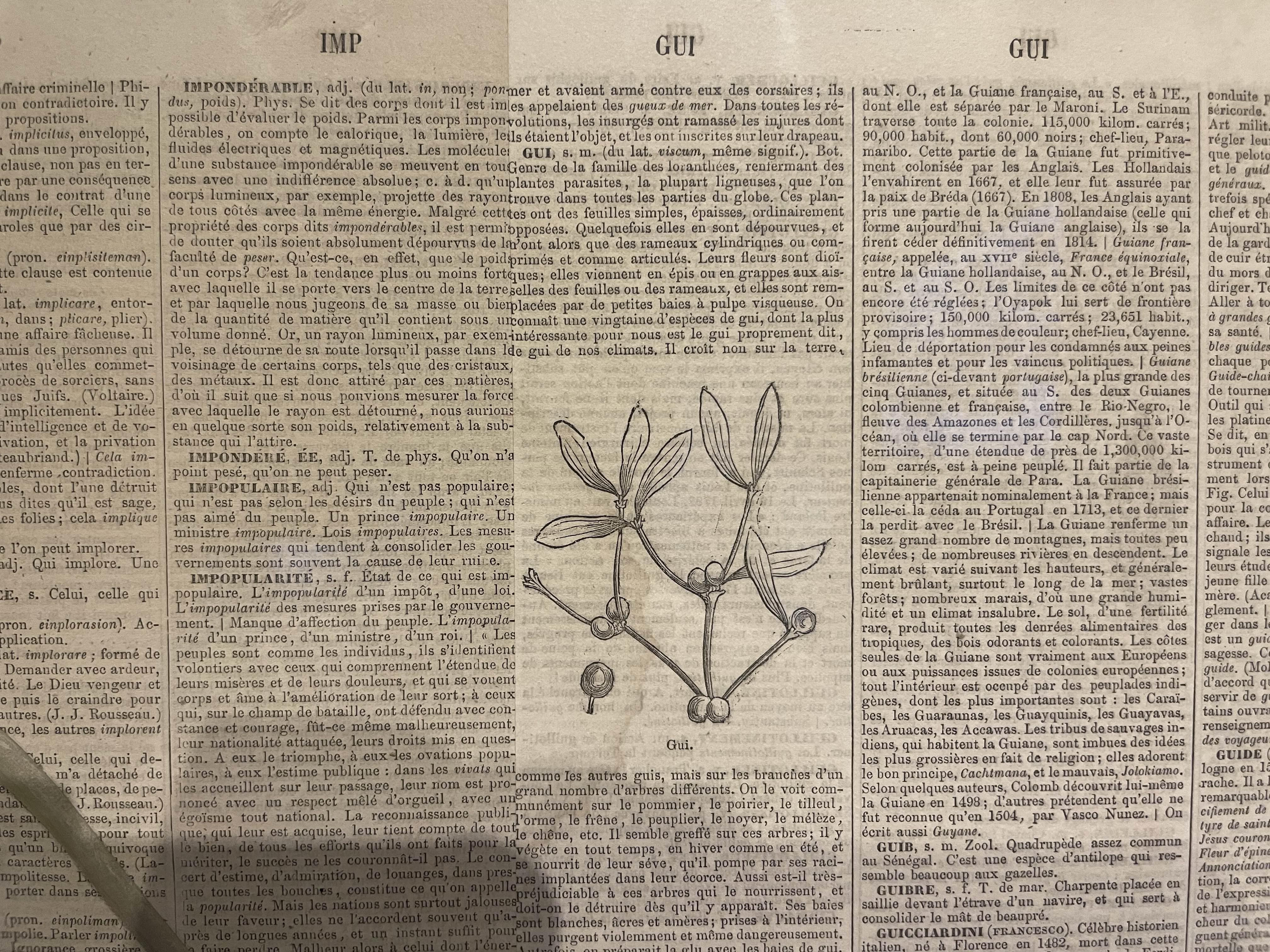 고영훈-자연법-봄1 (2005, 종이에 아크릴) 상세