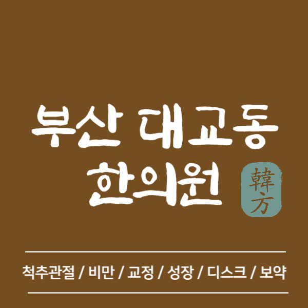 부산 영도구 대교동 한의원 추천 TOP5 양심 한의원 유명한 곳