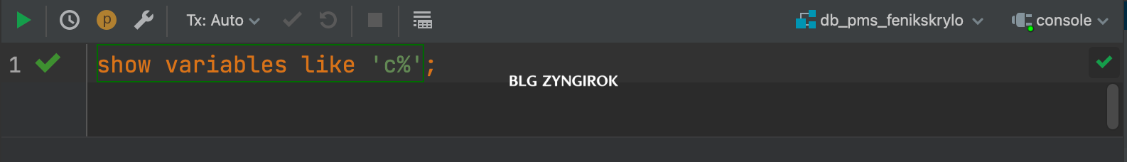 c로-시작하는-파라미터들을-보는-명령어를-실행한다.