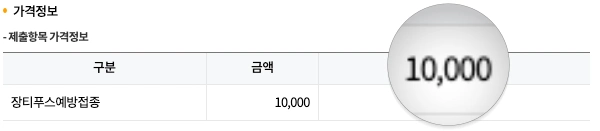 장티푸스 예방접종 가격