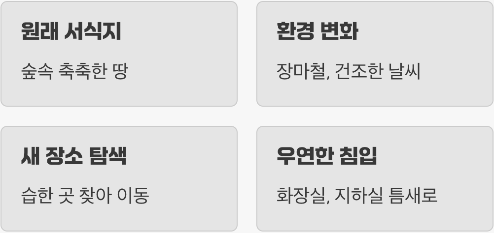 왜 자꾸 우리 집에 들어올까요?