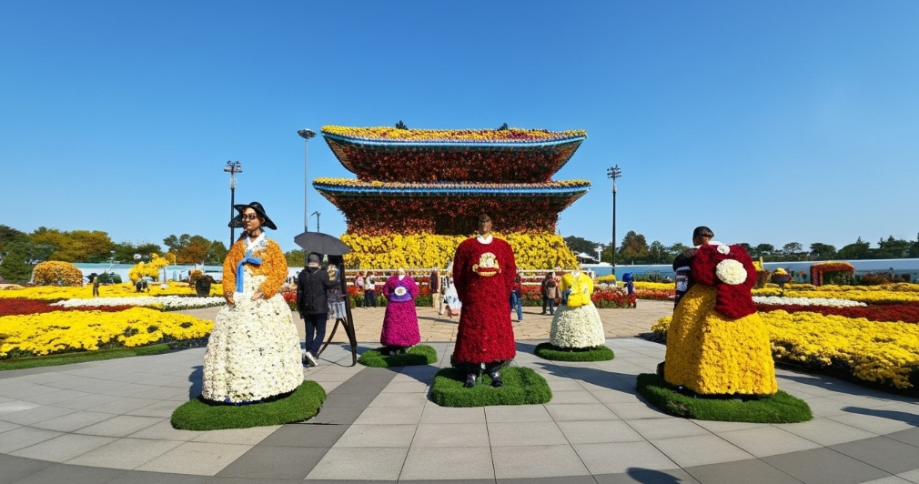 꽃 축제 3대장 비교, 함평 국향대전이 1위인 이유!