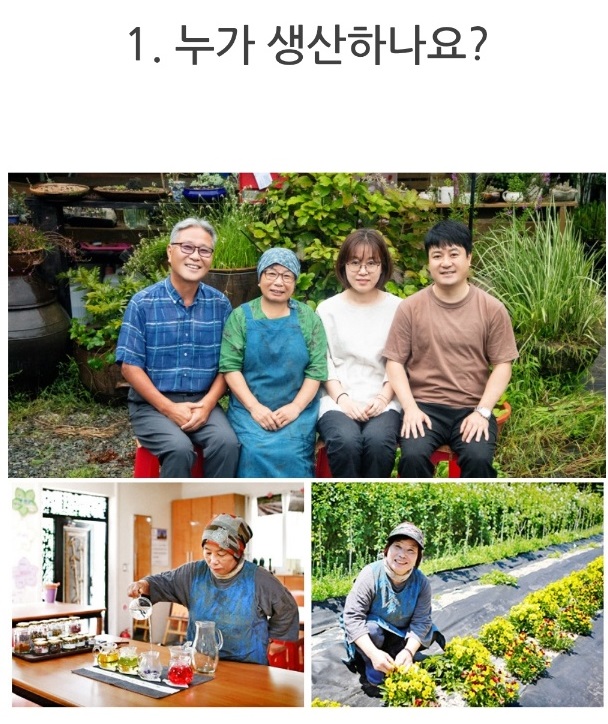 생생정보-창원-꽃차-하늘바라기-메리골드