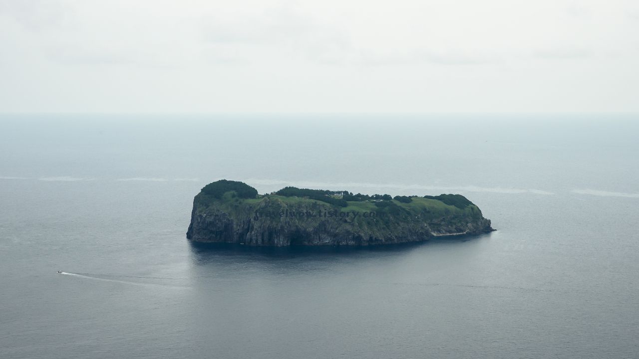 울릉도 죽도