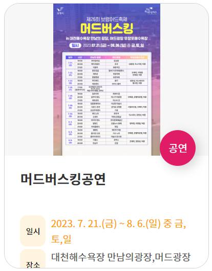 보령머드축제 기본정보