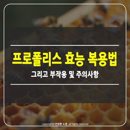 프로폴리스 효능 복용법 썸네일
