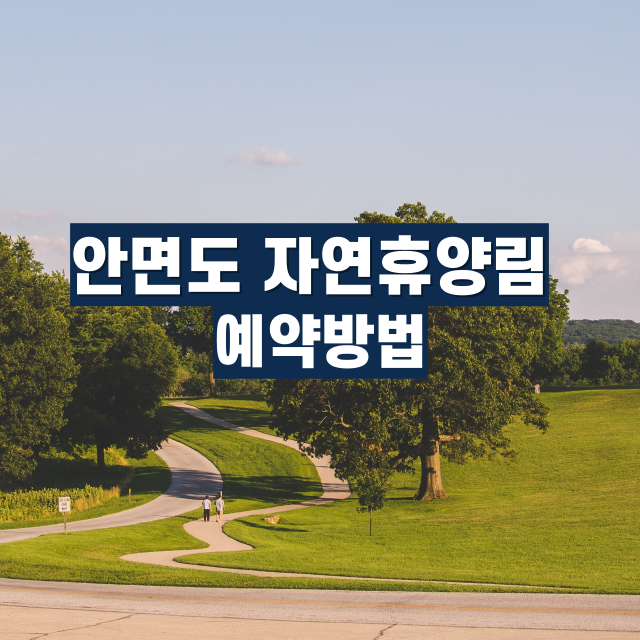 안면도 자연휴양림 여행 예약,코스,맛집,숙소