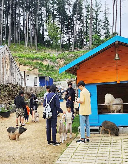 대관령주주파크