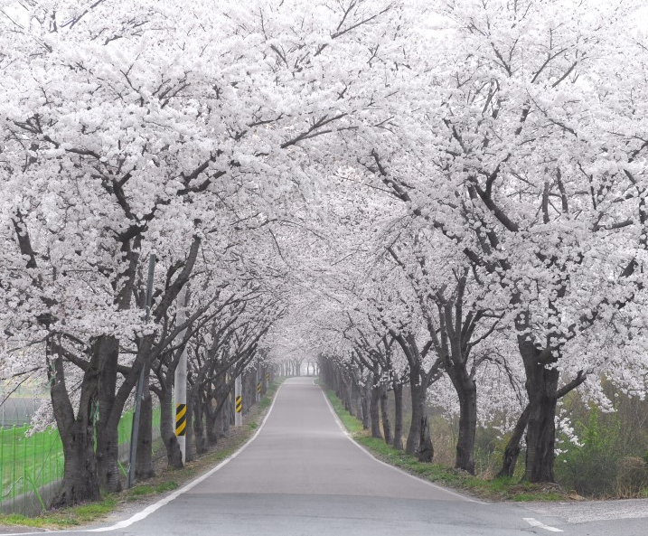 온천랜드 정유장 근처
