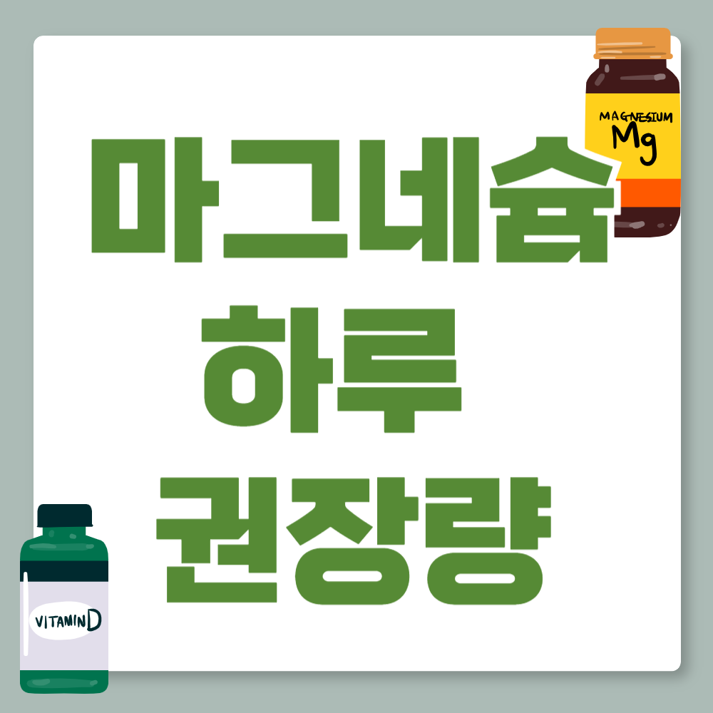 마그네슘 하루 권장량