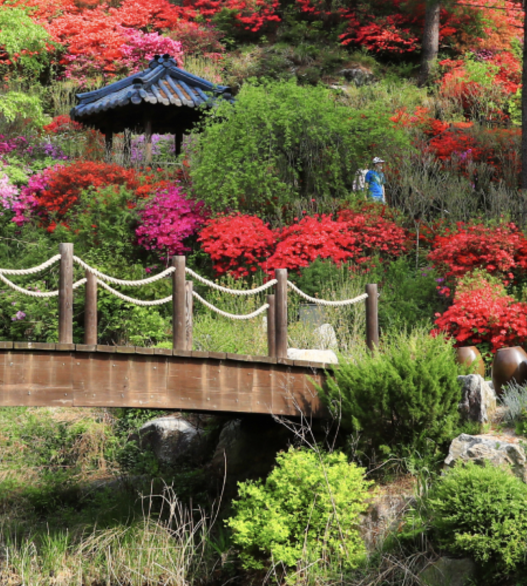 아침고요수목원의 사계절
