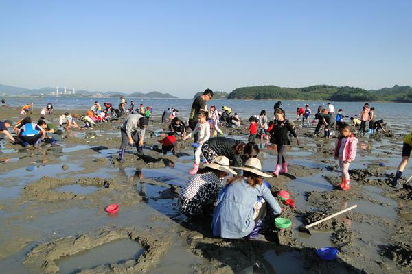 갯벌-체험