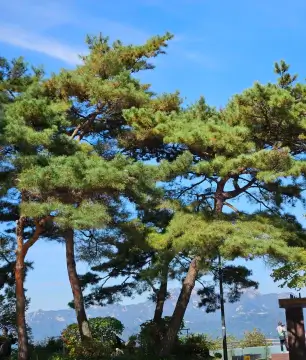 남산타워전망대-남산타워입장료할인
