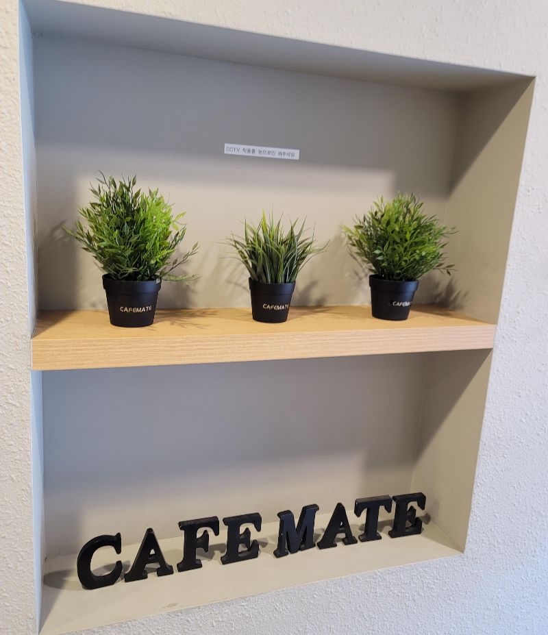 카페메이트 카페 입구 화분