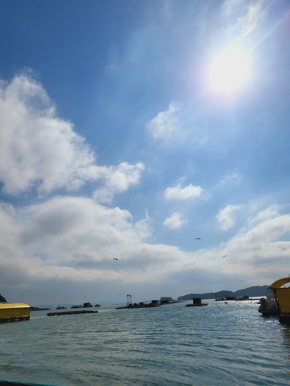 서해가볼만한곳 당진 서산 고려호 좌대 낚시 쇼핑몰 낚시대 없이 이용 가능 아이와가볼만한곳 충남가볼만한곳 아이랑갈만한곳 이색데이트 대한민국구석구석 물때표