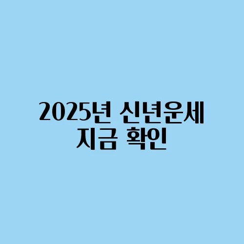2025년 신년운세 지금 확인