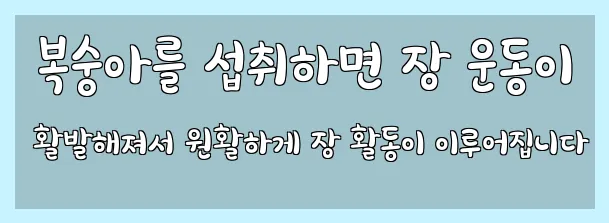  복숭아를 섭취하면 장 운동이 활발해져서 원활하게 장 활동이 이루어집니다