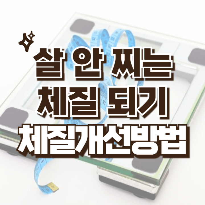 살 안찌는 체질 되는 방법