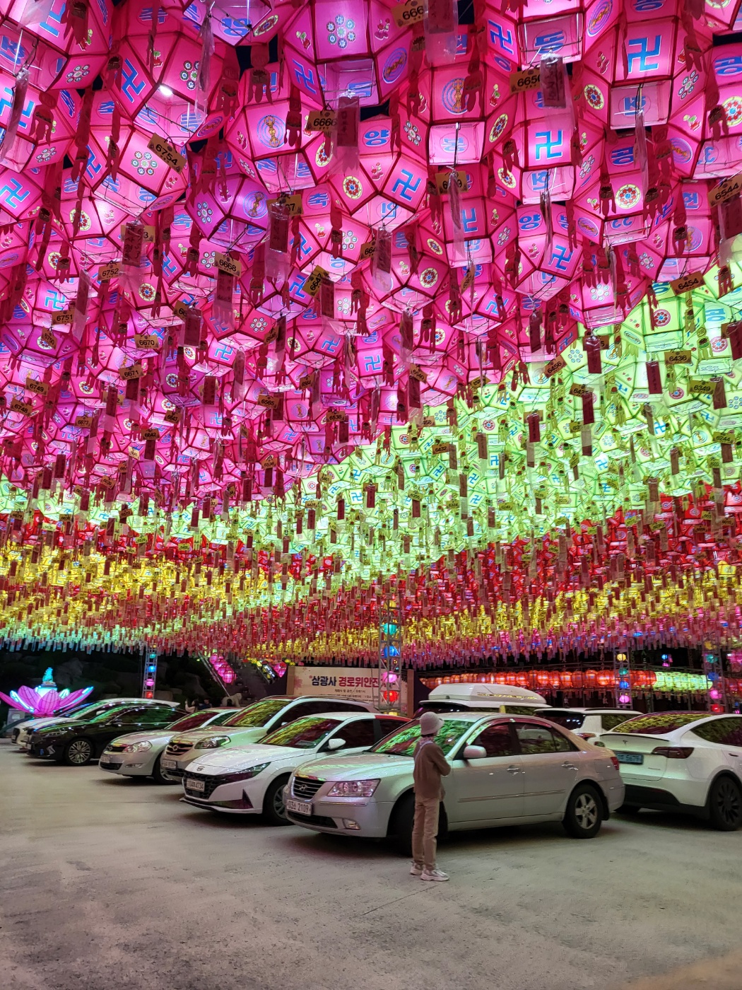 삼광사연등축제