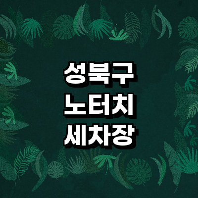 서울 성북구 노터치 세차