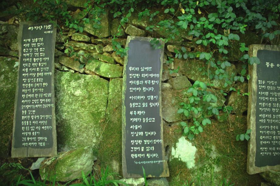 대전근교 장태산자연휴양림