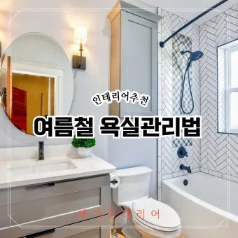 여름철 욕실 세균 곰팡이 청소 끝 관리법과 예방 팁 완벽 위생 가이드_27
