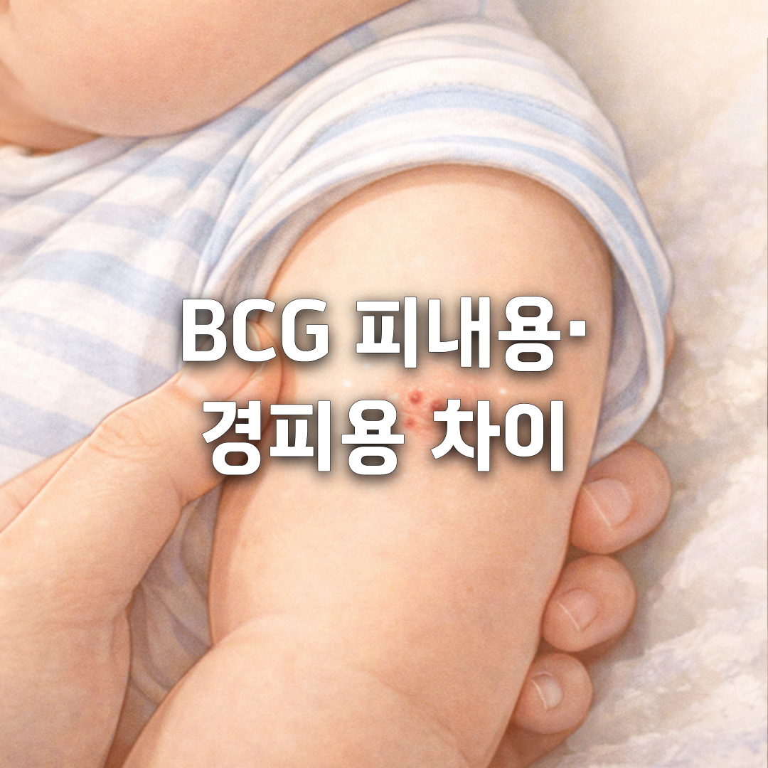 BCG 피내용·경피용 차이, 부모가 꼭 알아야 할 핵심 정리✅